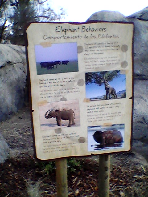 Elephant behavior interpretive sign