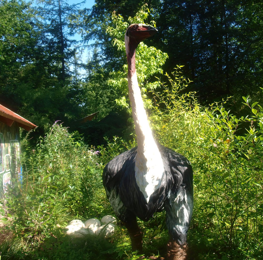 Elephant bird (Aepyornis maximus) model with eggs, 2015-08-01