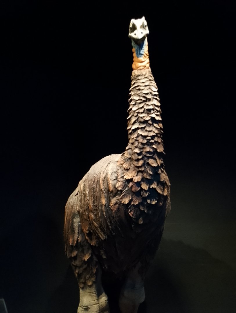 Elephant bird statue