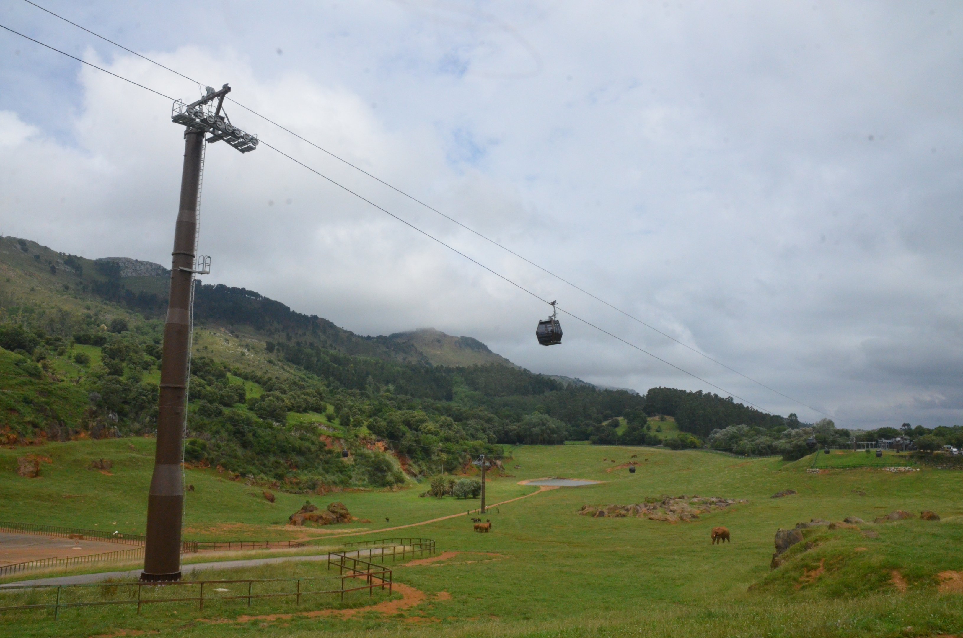 Elephant/Buffalo/Lechwe Paddock at Cabarceno, 08/07/17