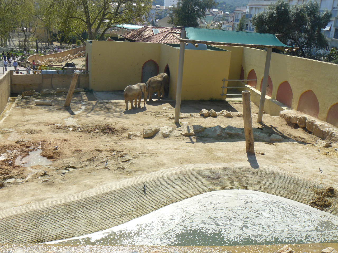 Elephant Bull Enclosure - Lisbon Zoo