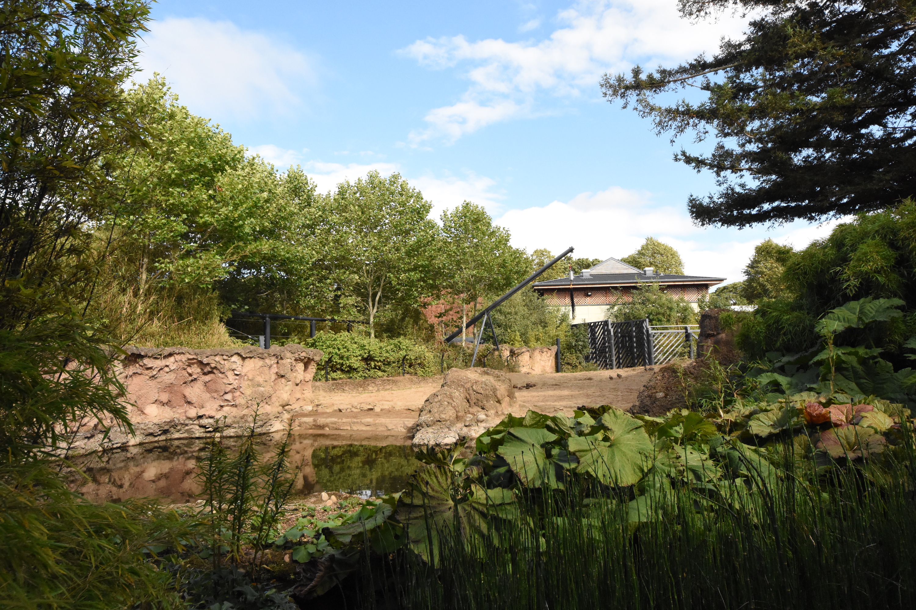 Elephant bull enclosure