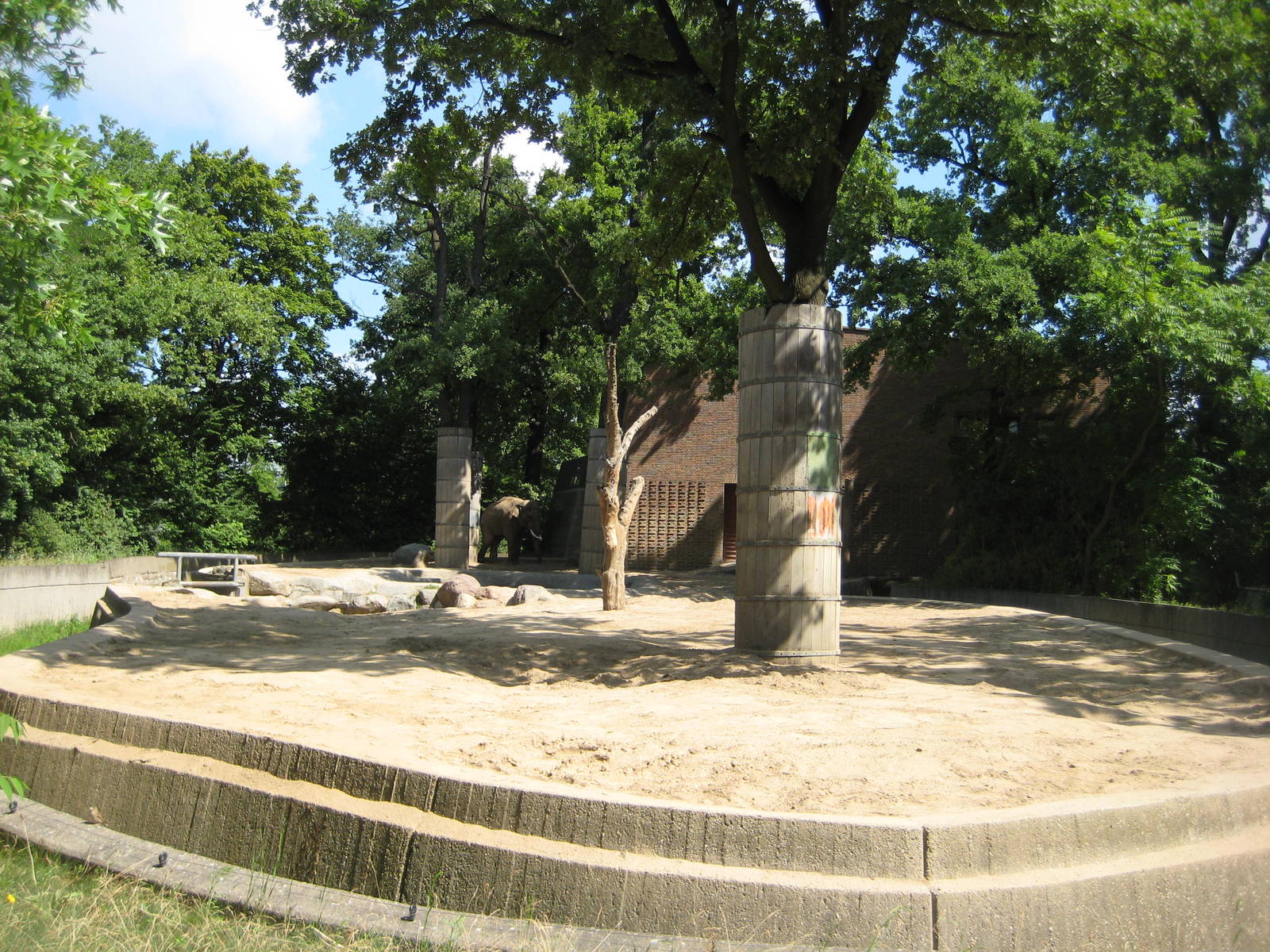 Elephant bull exhibit