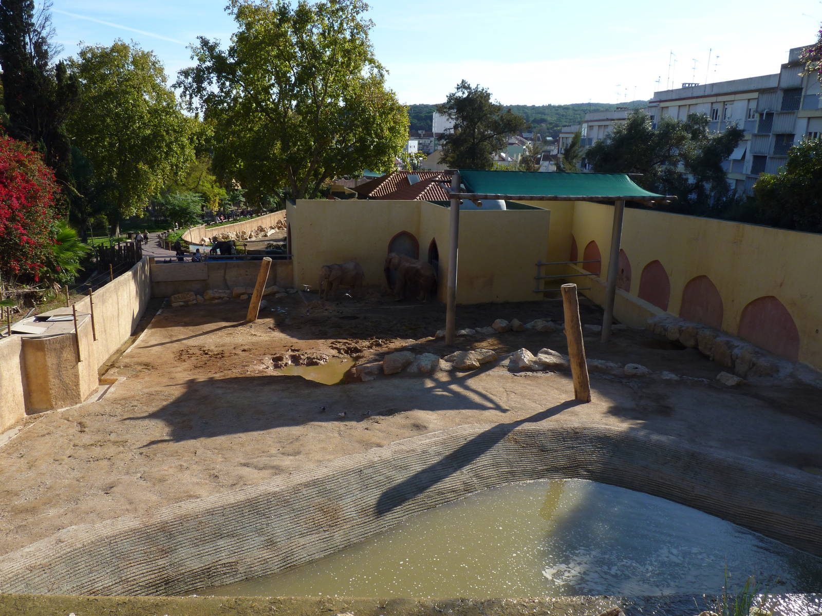 Elephant bull paddock