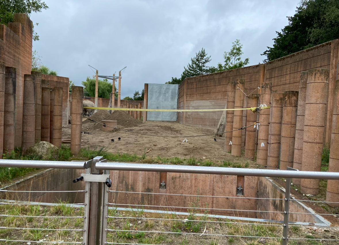 Elephant bull yard 2023