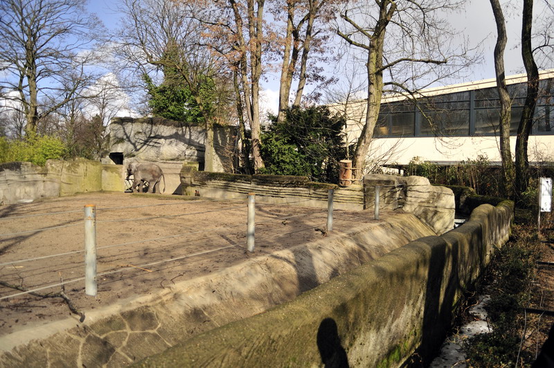 Elephant bullenclosure at Hagenbeck 1/4