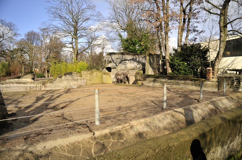 Elephant bullenclosure at Hagenbeck 2/4