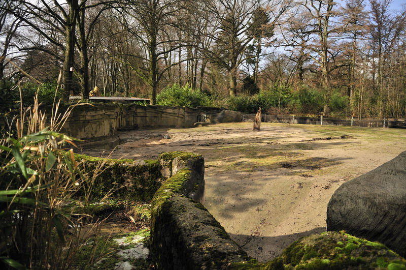 Elephant bullenclosure at Hagenbeck 4/4