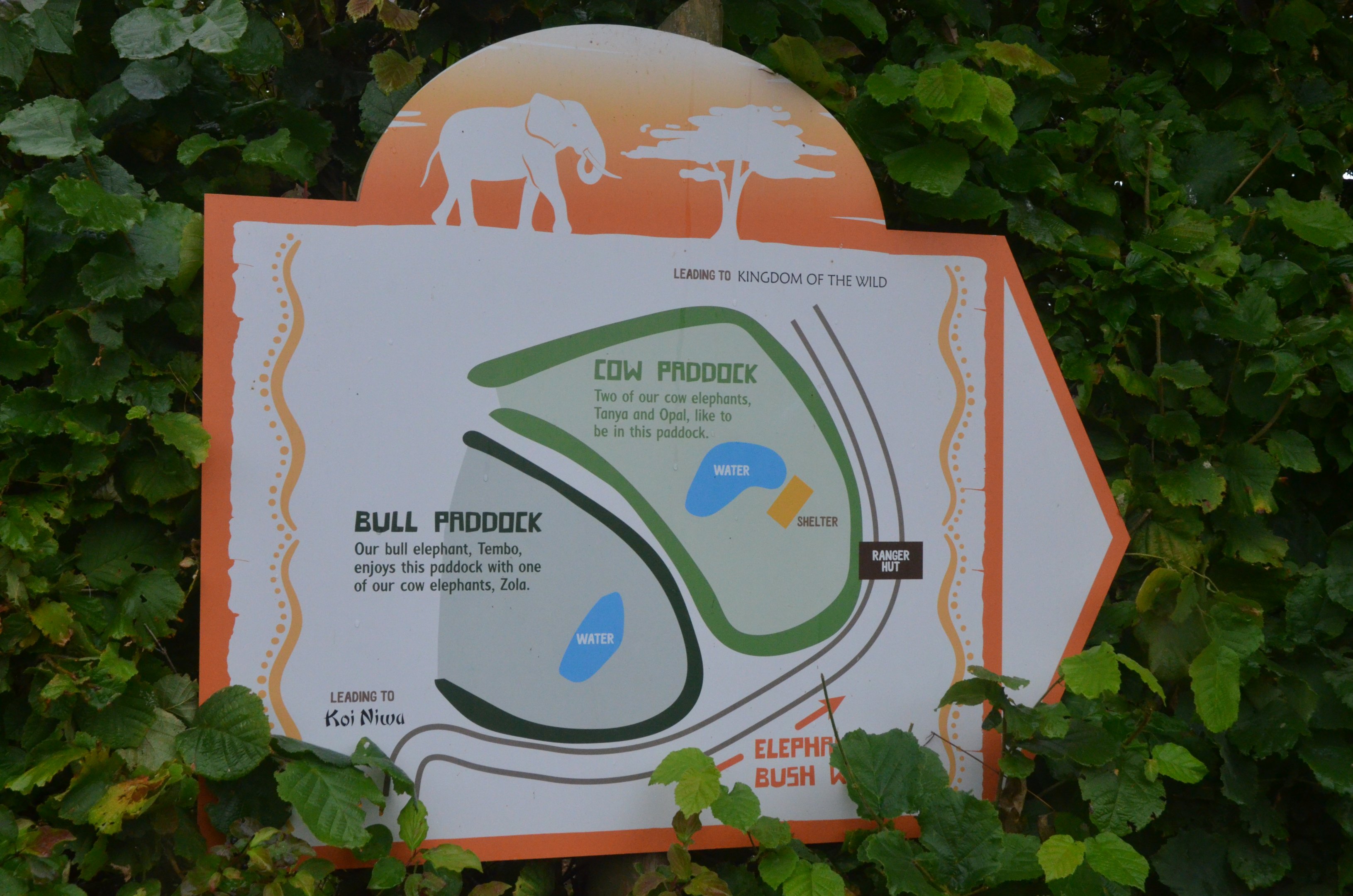 Elephant Bush Walk at Colchester, 09/09/19