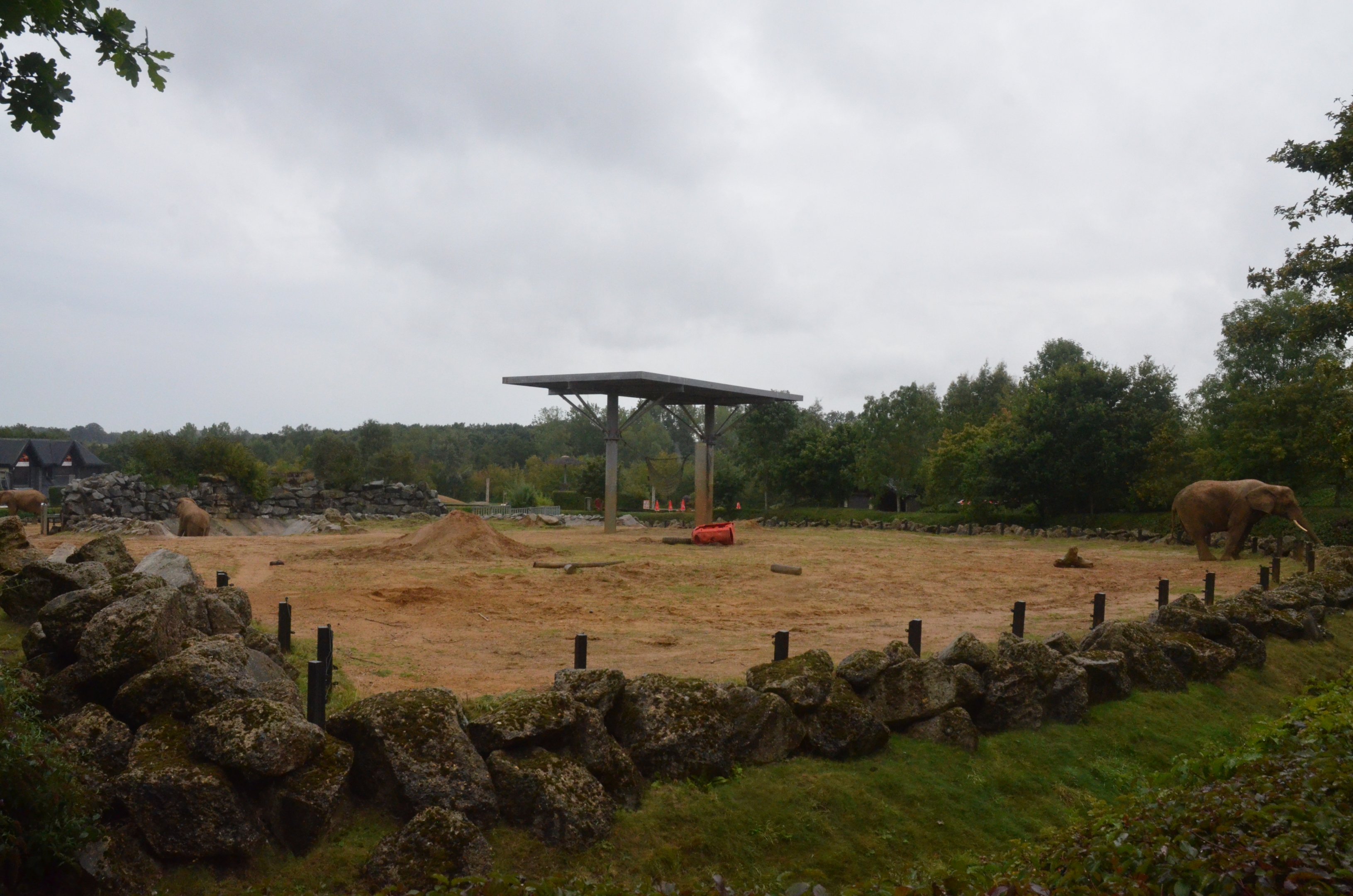 Elephant Bush Walk at Colchester, 09/09/19