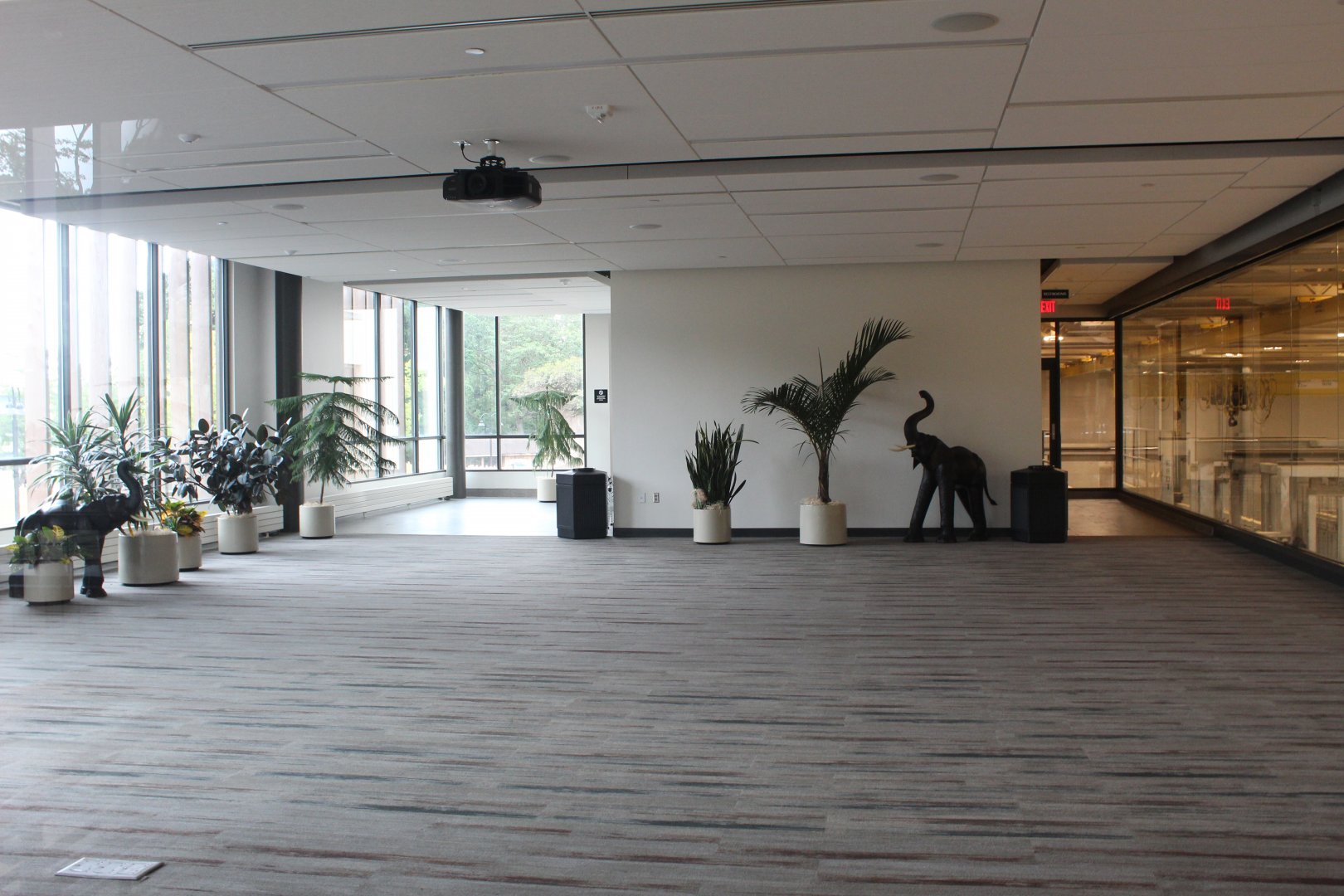 Elephant Care Center - Learning Loft