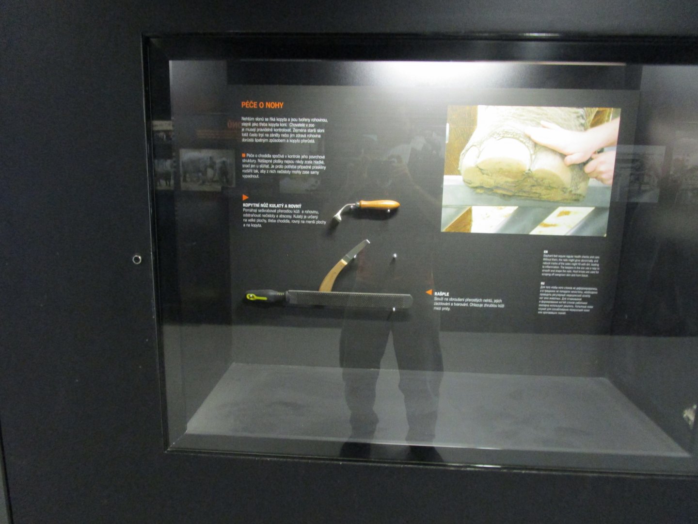 Elephant Care Display