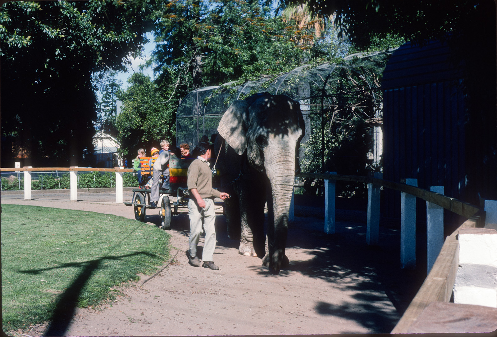 Elephant cart rides - Nov 1975