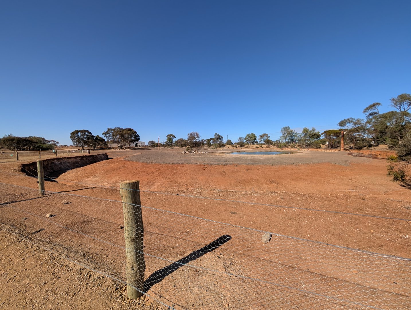 Elephant 'Cloverleaf' Enclosure