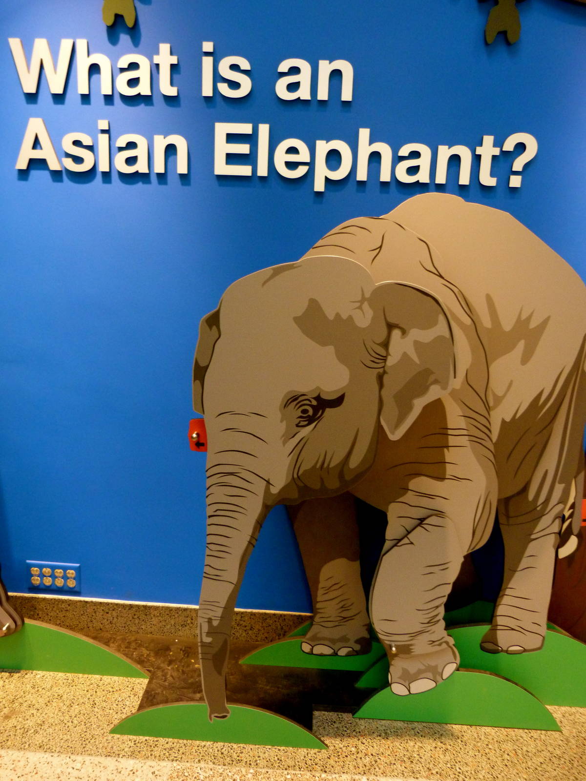 Elephant Community Graphics