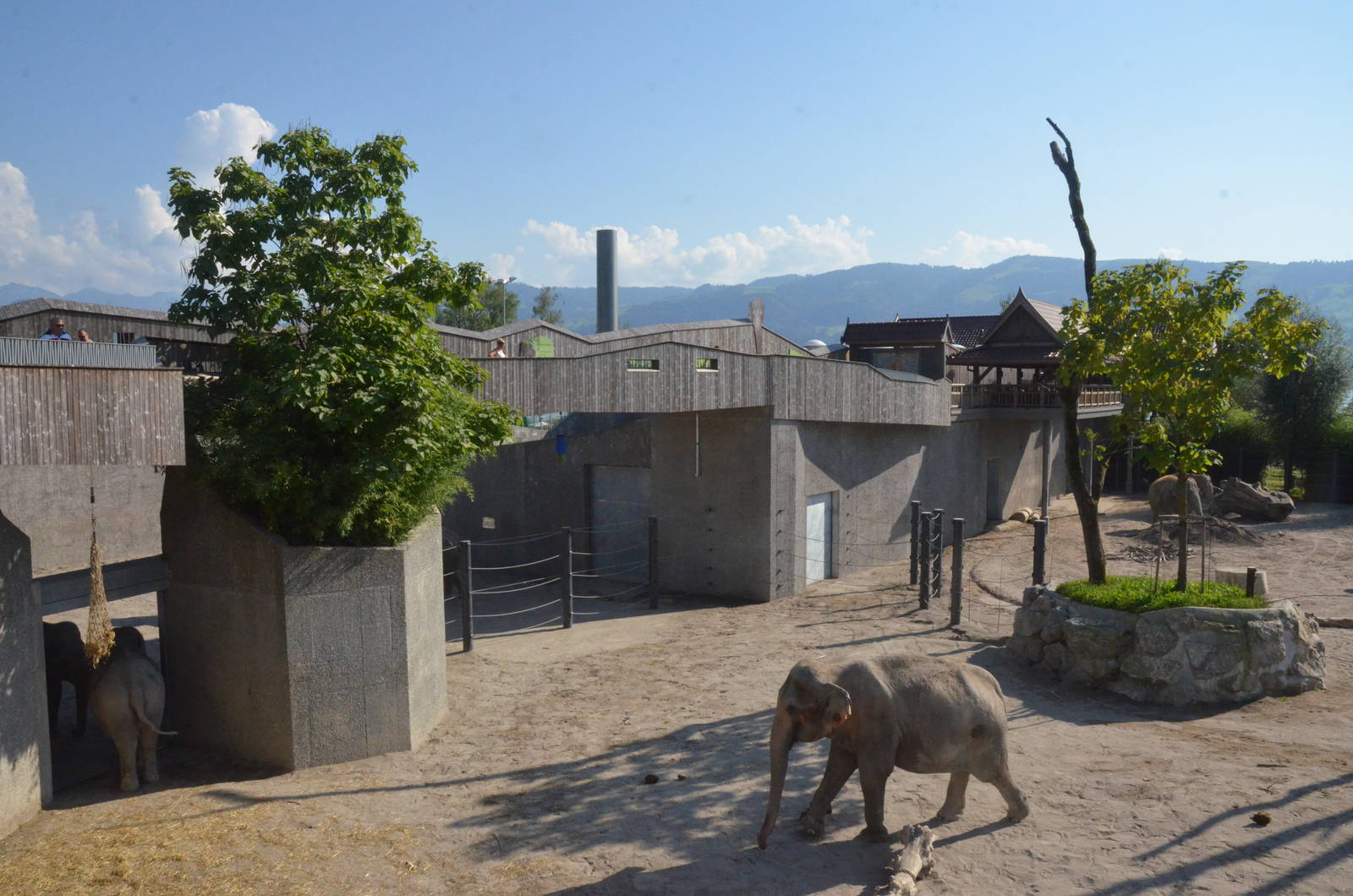 Elephant Complex at Knie Kinderzoo, 11/09/16