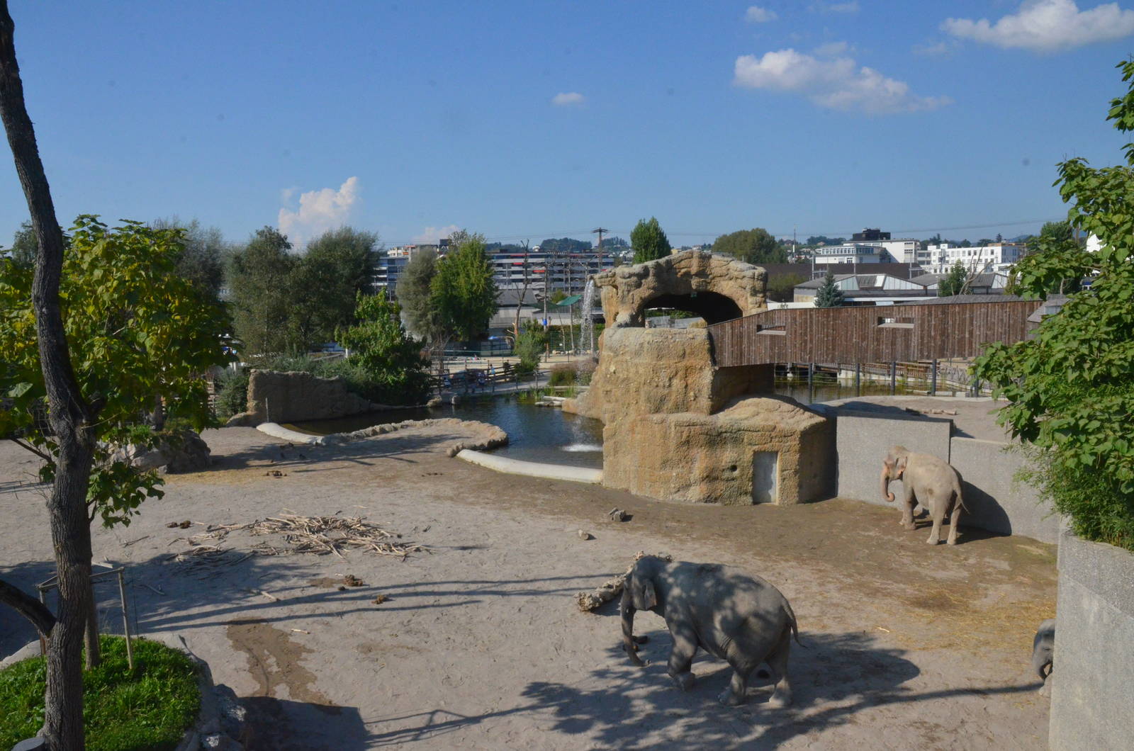 Elephant Complex at Knie Kinderzoo, 11/09/16