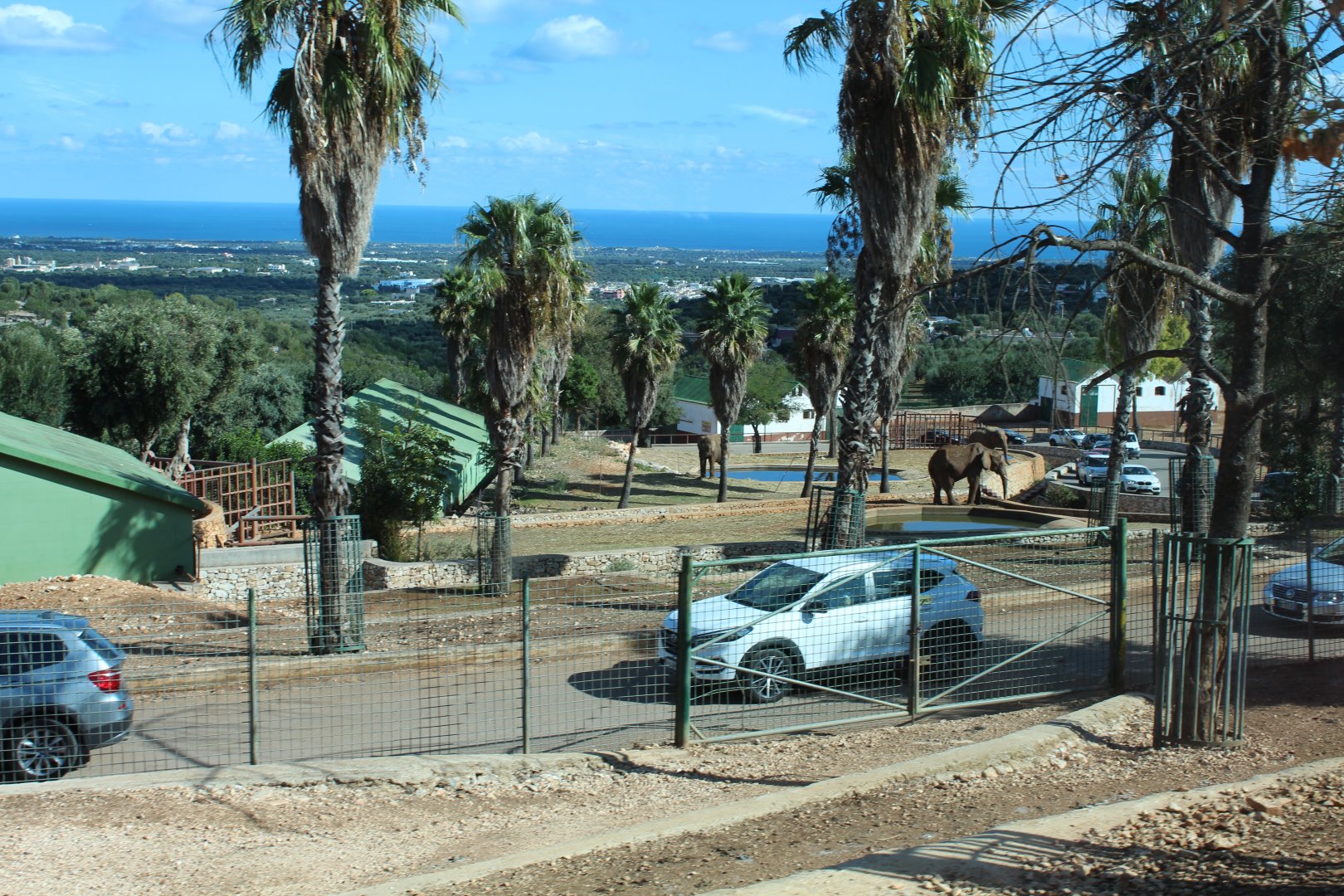 Elephant Complex - Oct 2019