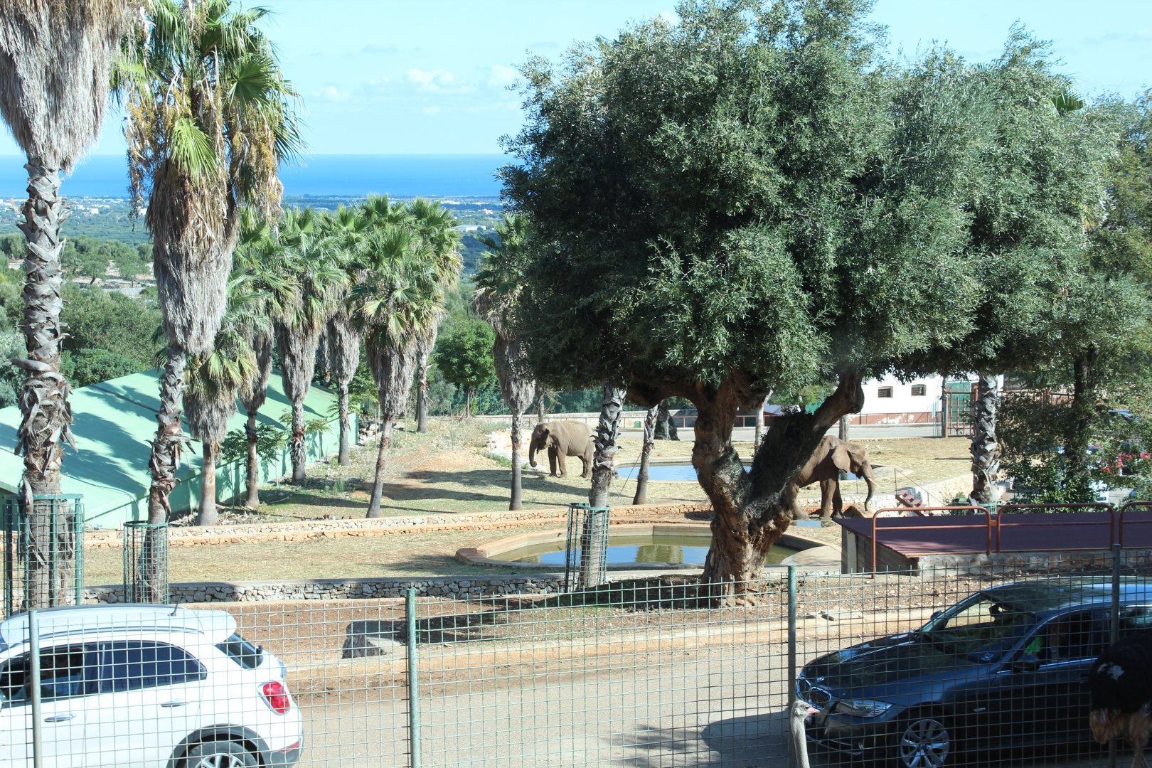 Elephant Complex - Oct 2019