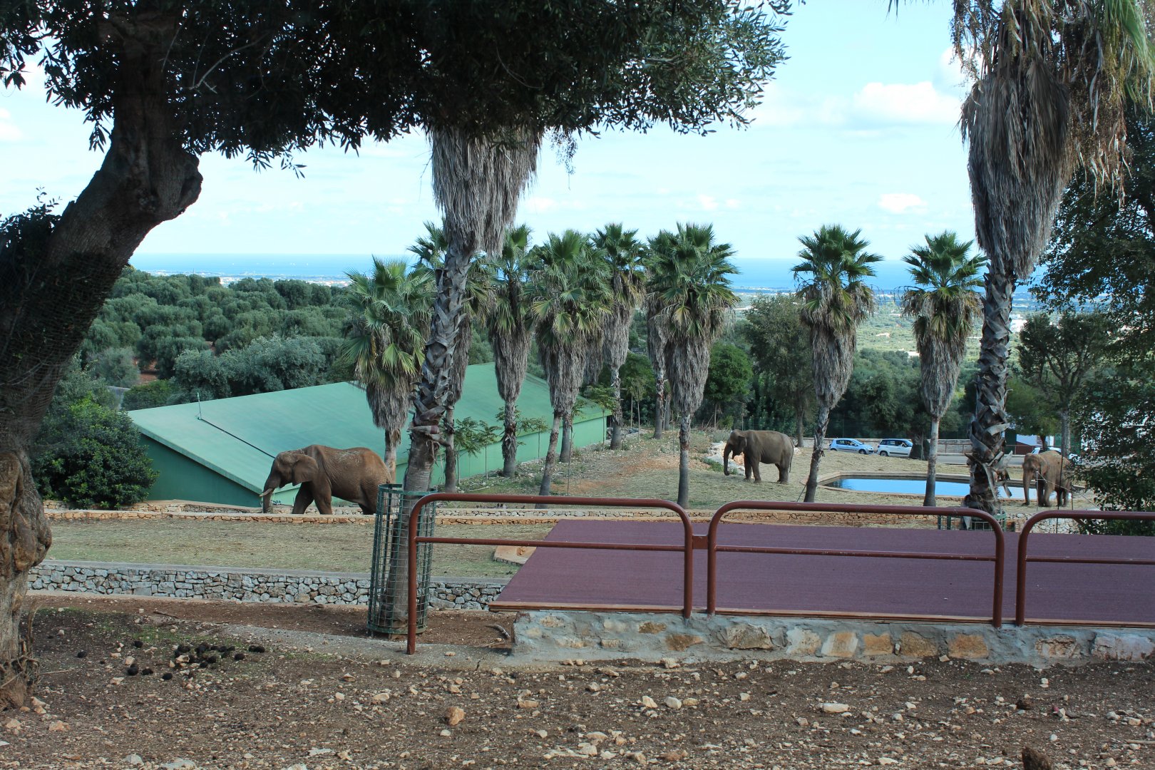 Elephant Complex - Oct 2019