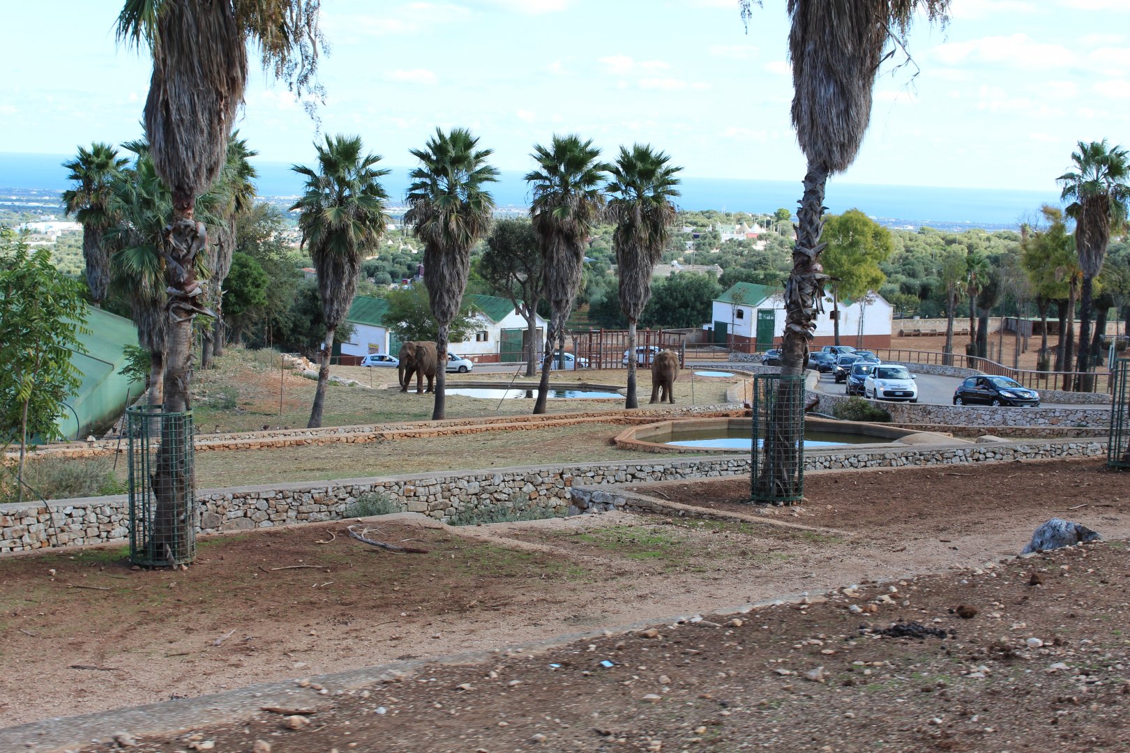 Elephant Complex - Oct 2019