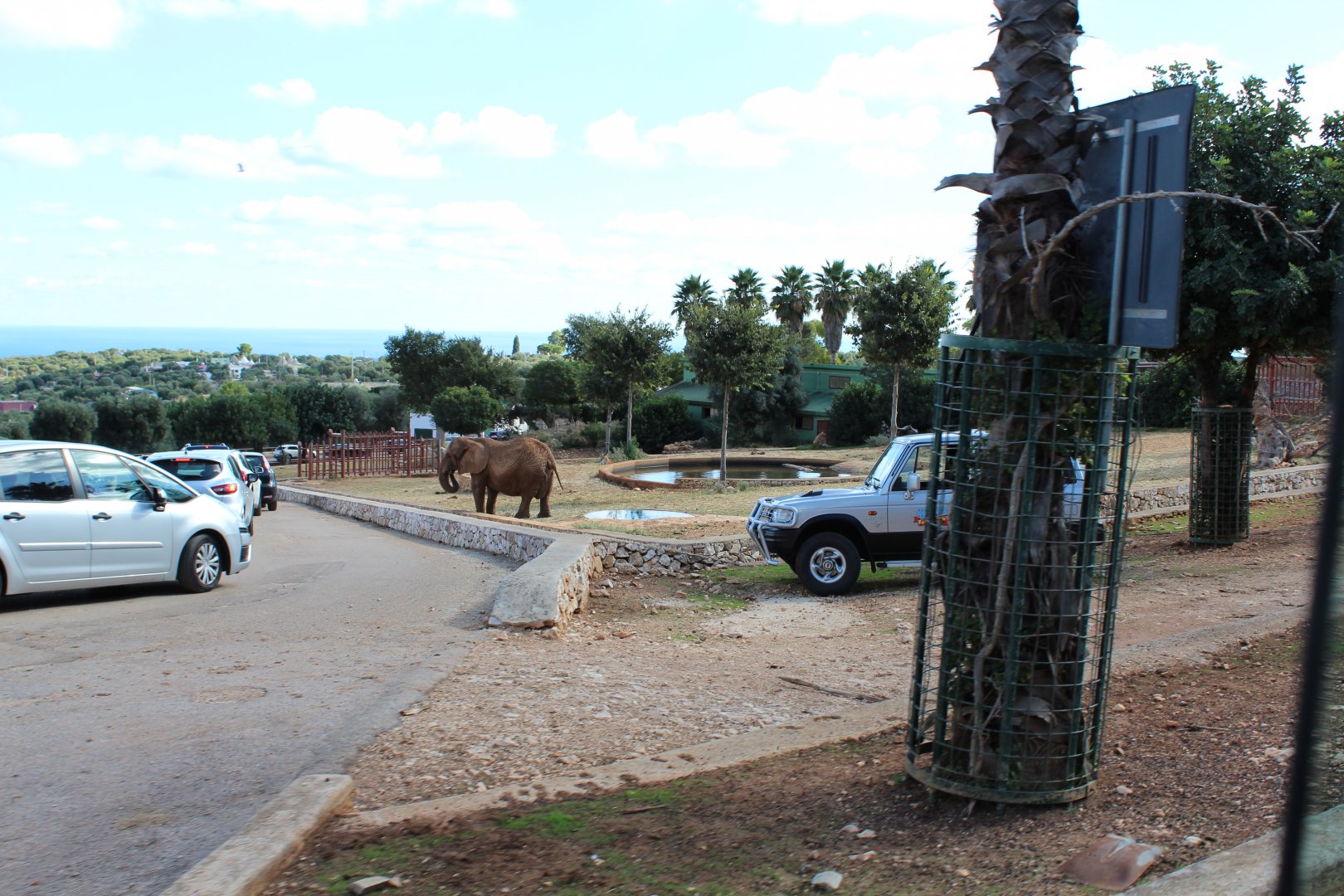 Elephant Complex - Oct 2019