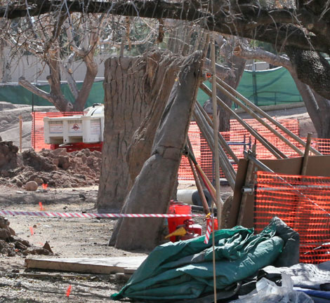 elephant construction - feb 2011