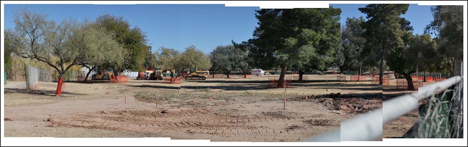 elephant construction - January 8, 2011