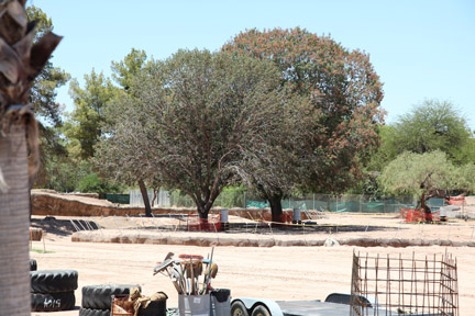 elephant construction