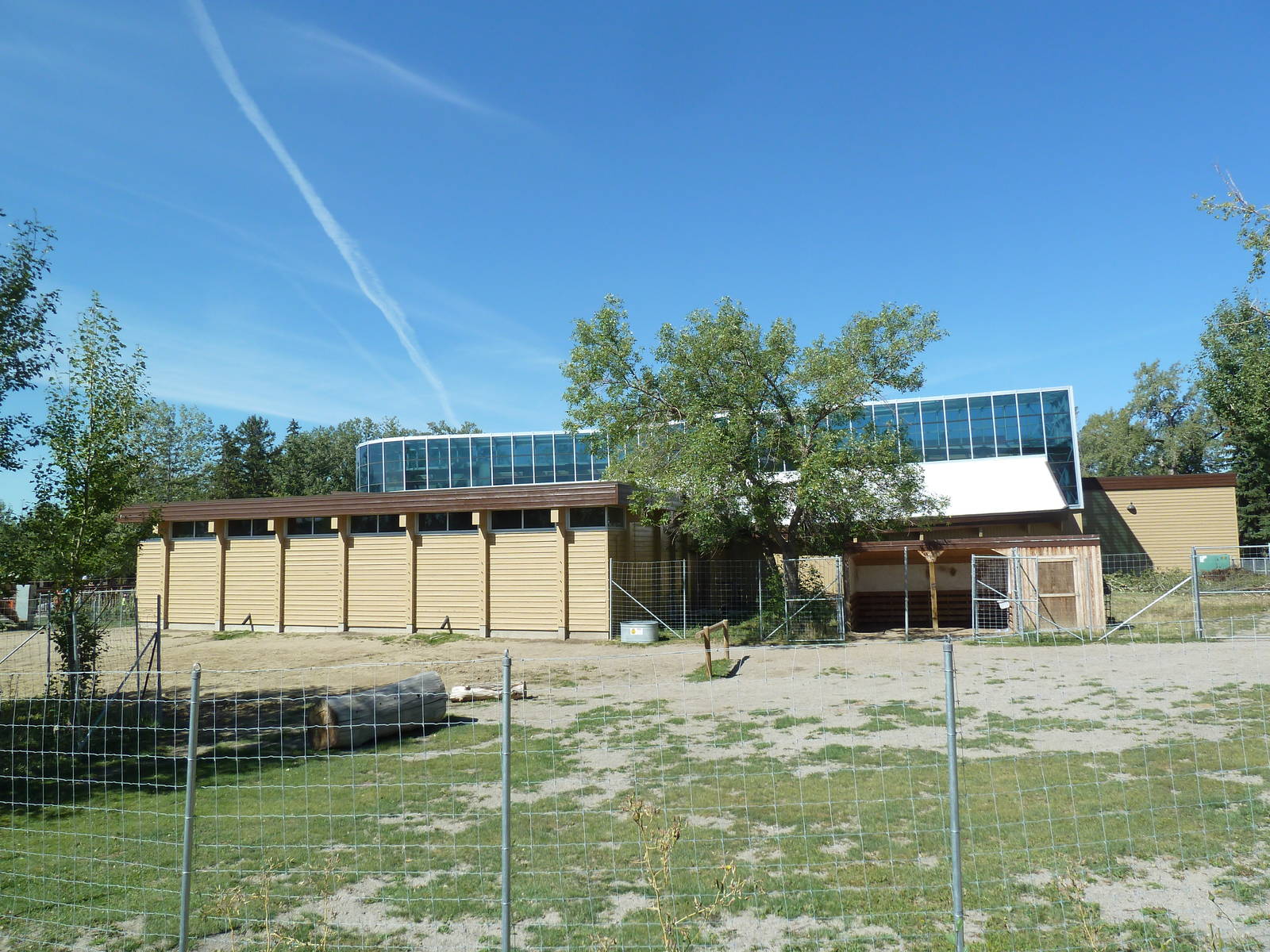 Elephant Crossing - Bactrian Camel Exhibit