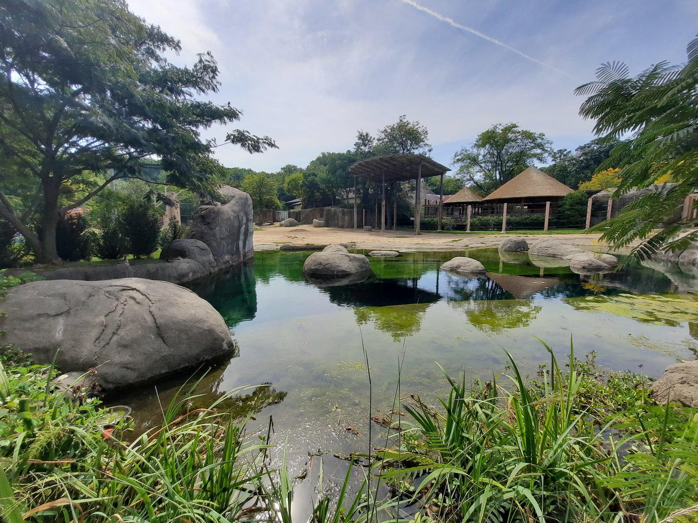 Elephant Crossing North Pool