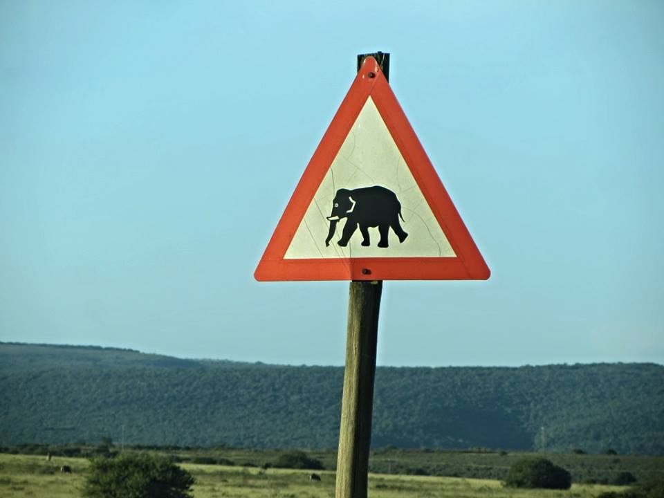 Elephant Crossing Sign