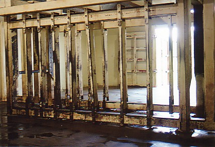 Elephant crush inside barn  (off exhibit)  African lion Safrai park Canada