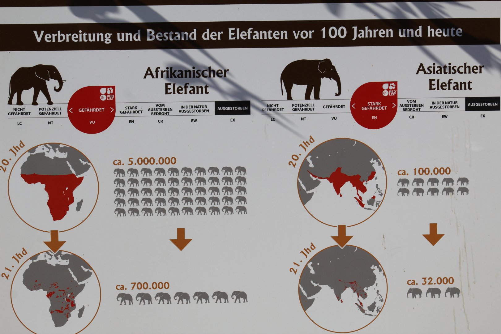 Elephant Decline Sign