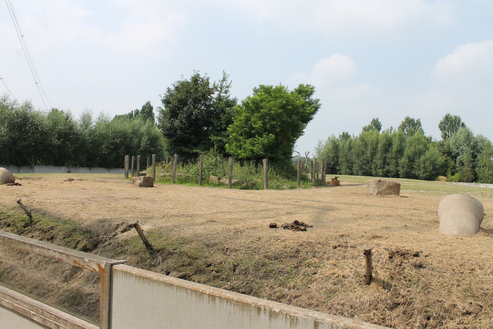Elephant-deer-monkey enclosure