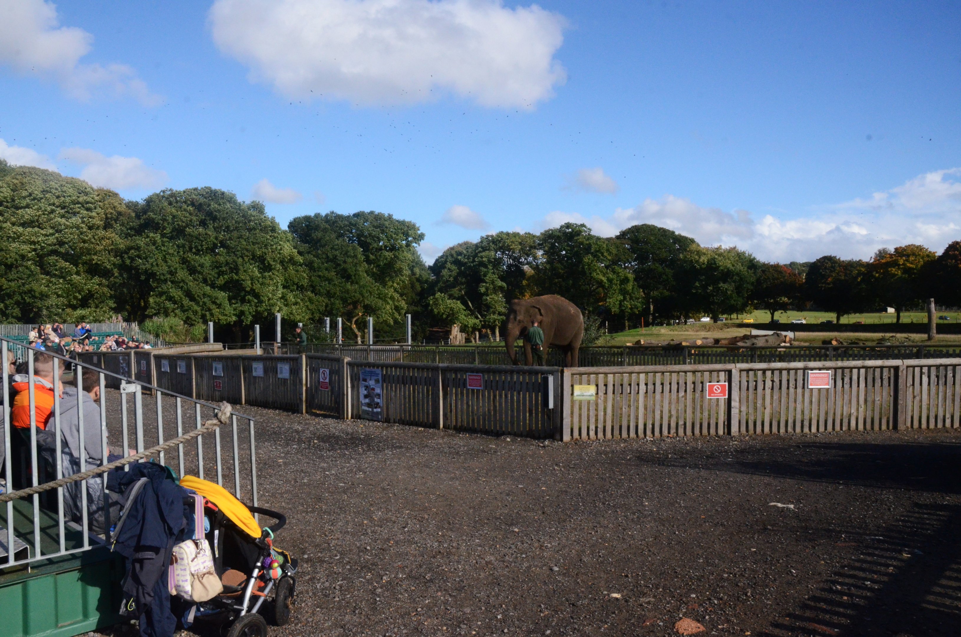 Elephant Display Area at Woburn Safari Park, 16/10/16
