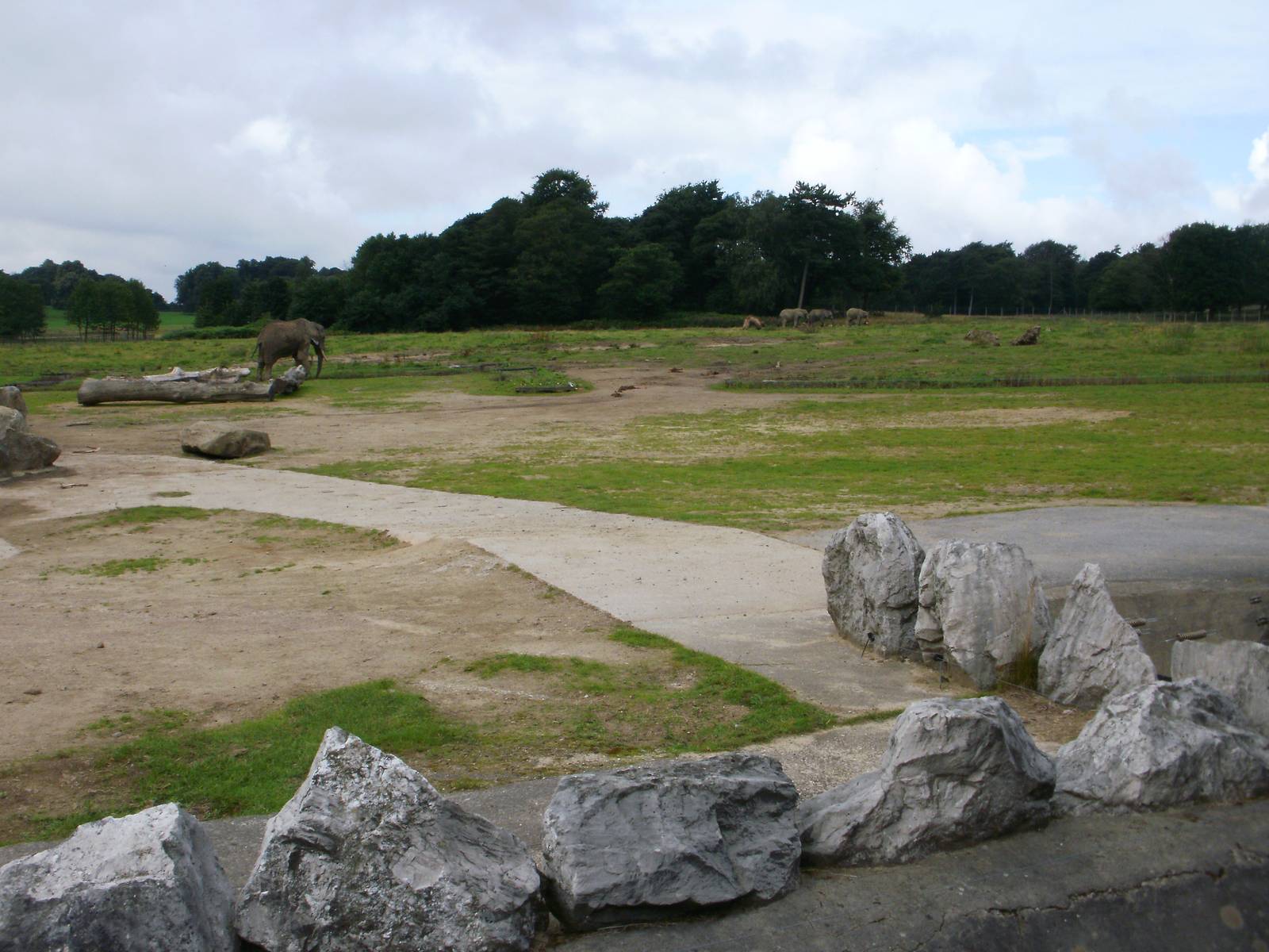 Elephant Enclosure - 07.08.2010