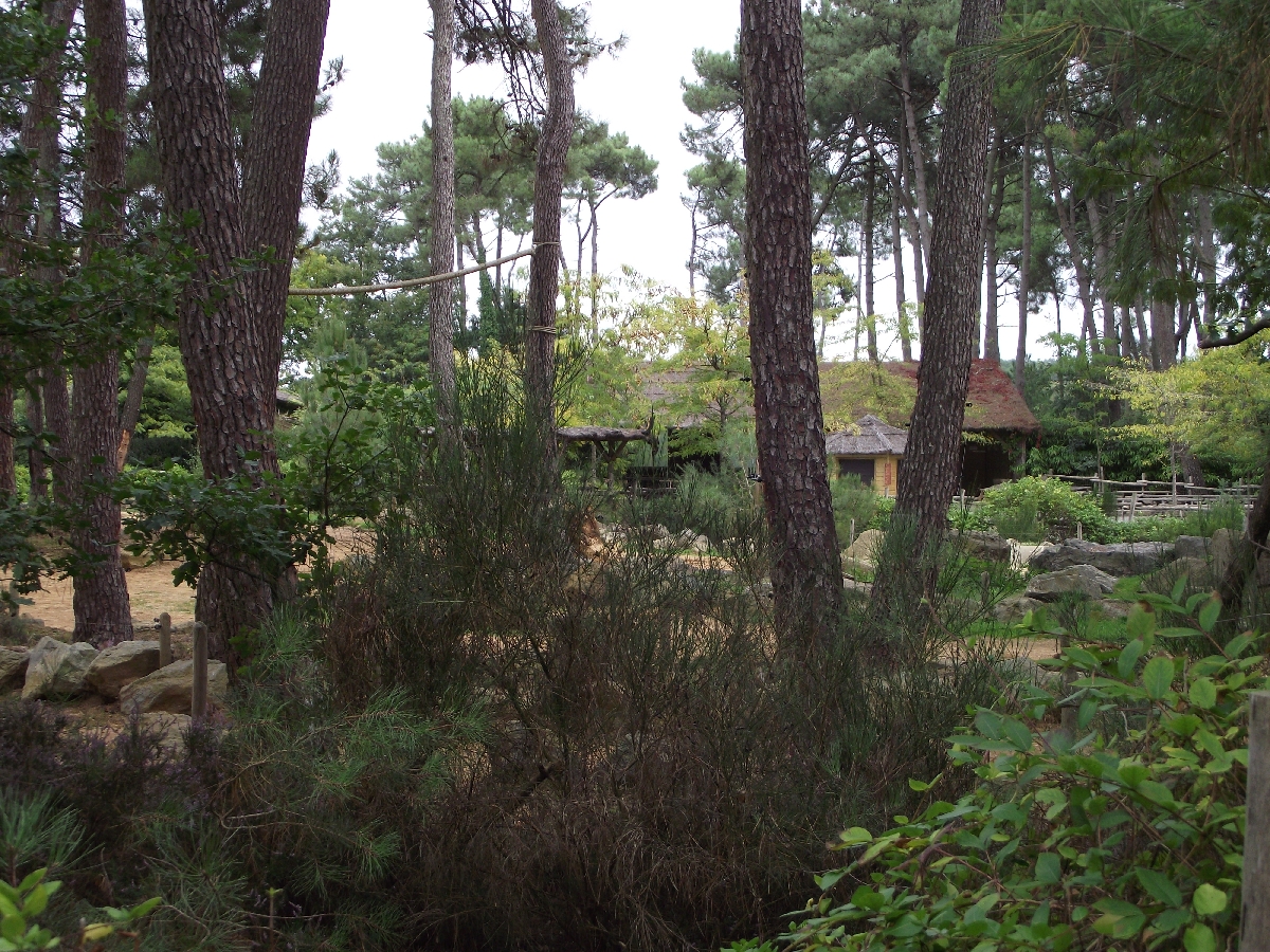 Elephant Enclosure #1