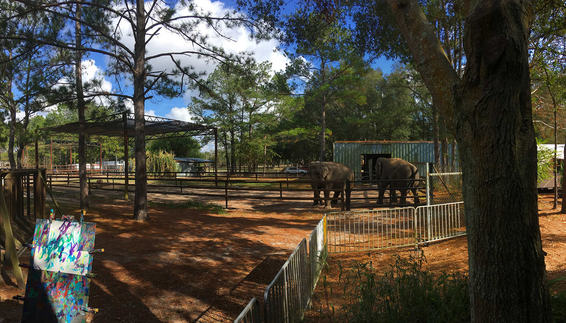 Elephant Enclosure 1