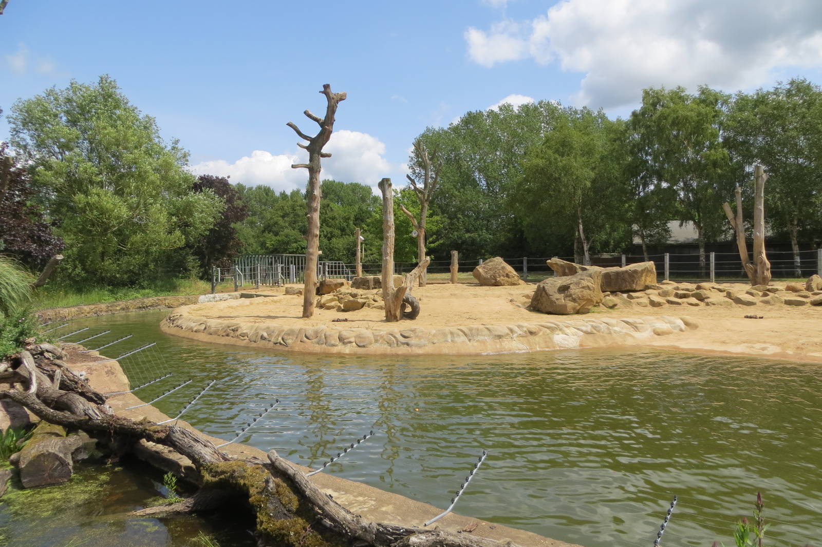 Elephant enclosure 110715