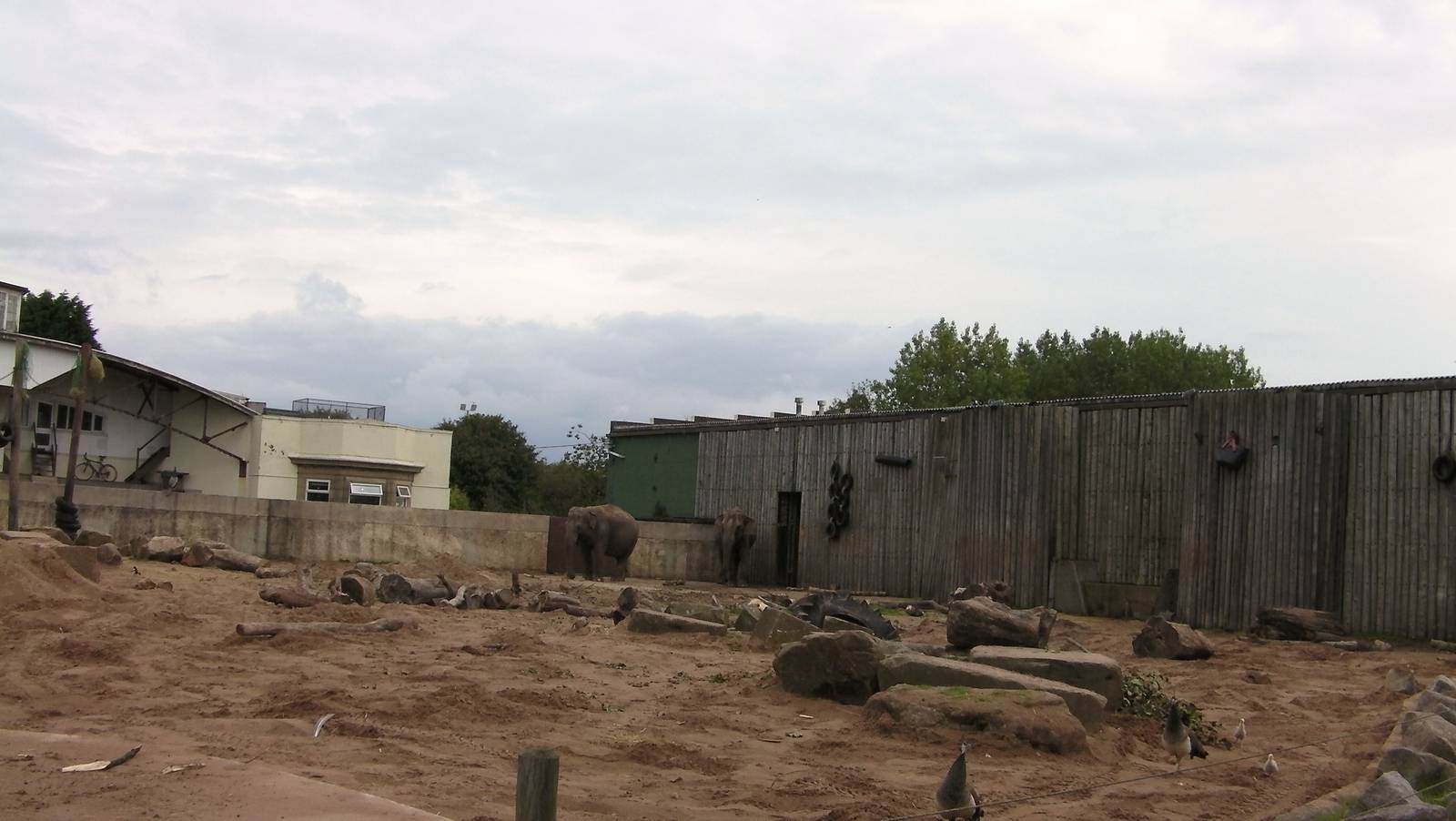 Elephant Enclosure - 26.08.2011