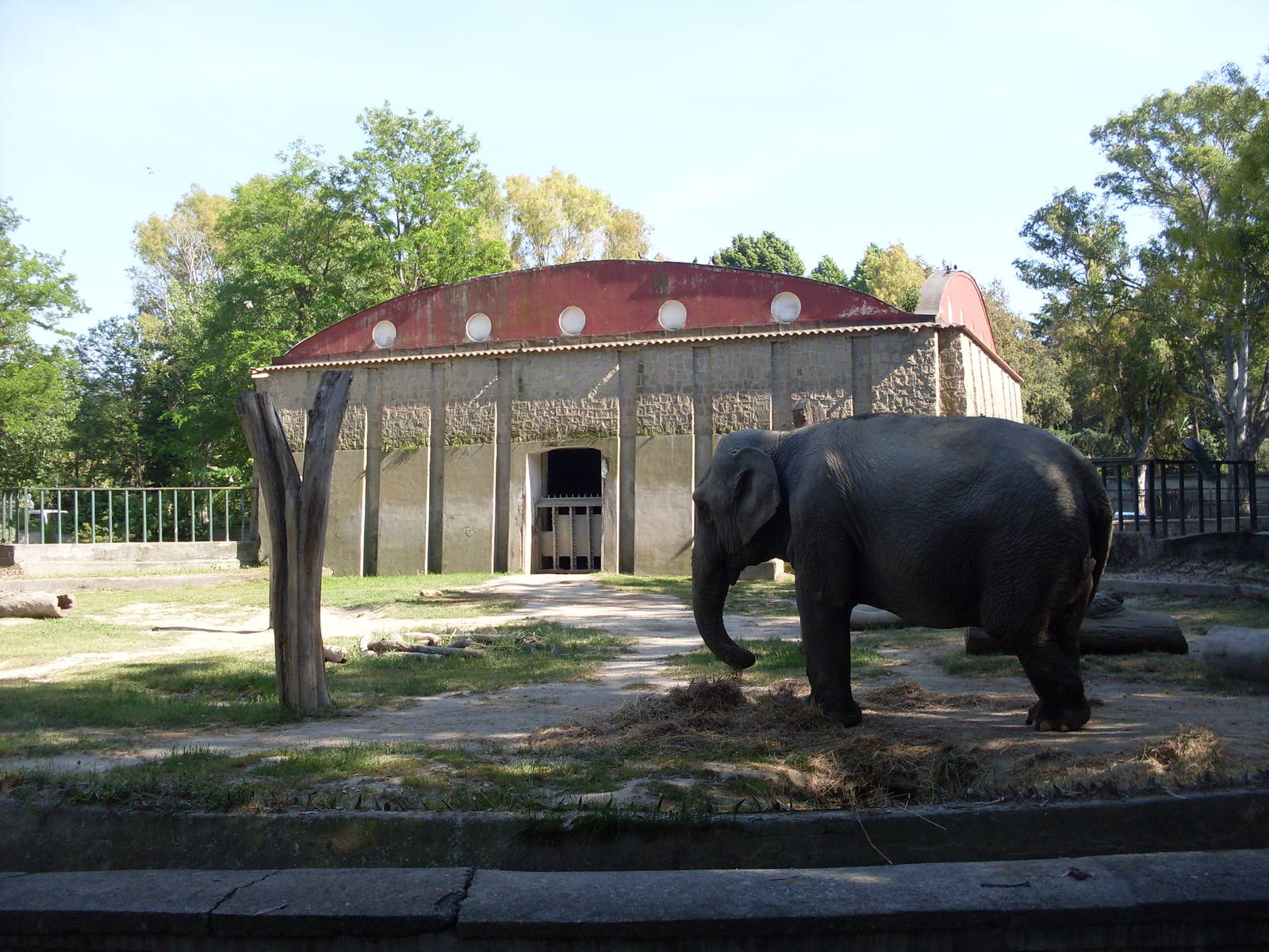 Elephant enclosure and house Zoo di Napoli 2012
