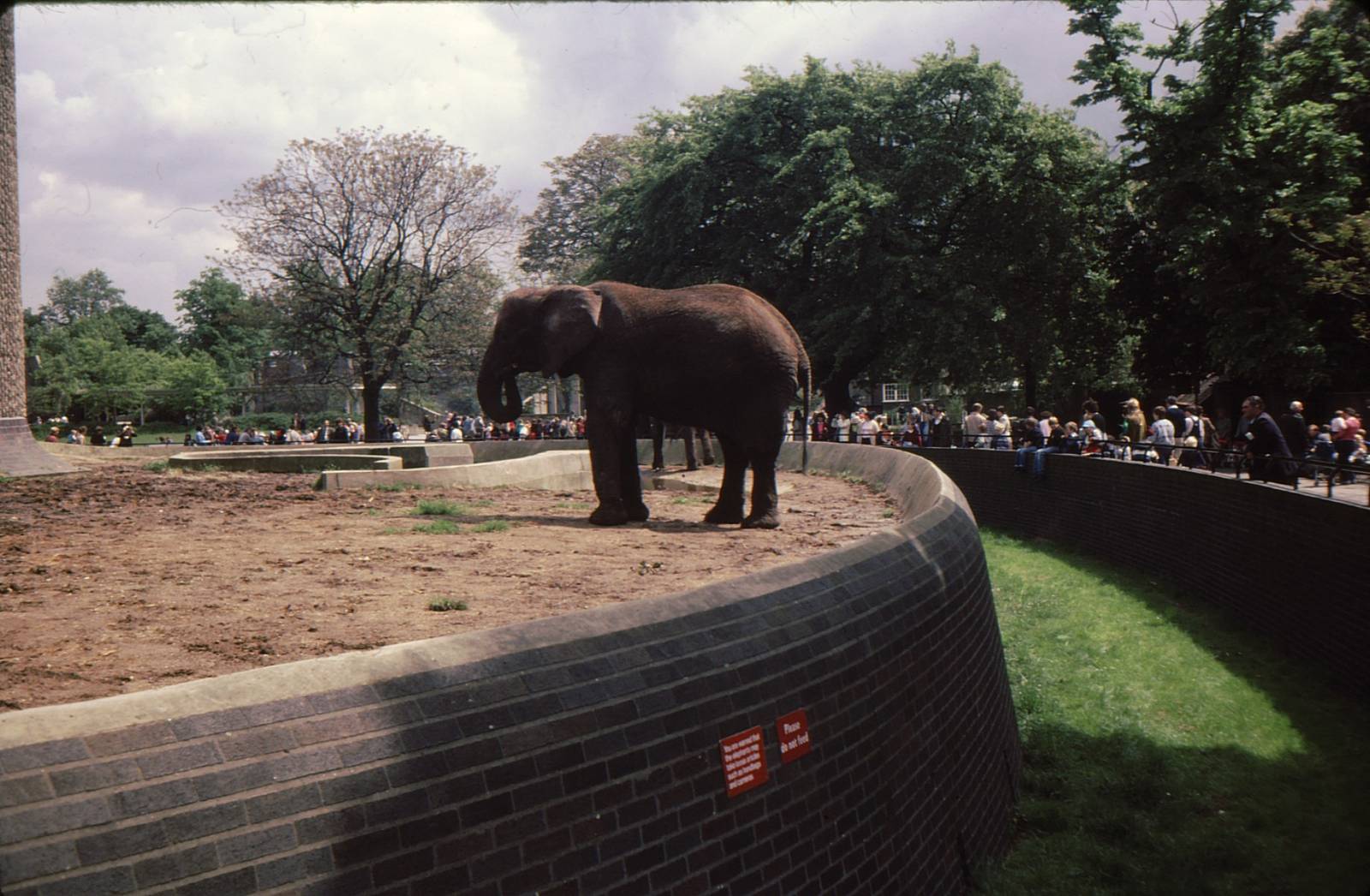 Elephant Enclosure at London Zoo Early 1980's