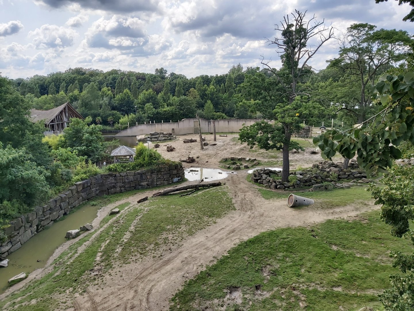 Elephant enclosure from above