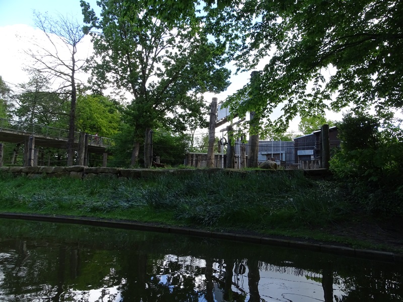 Elephant enclosure (from gondoletta ride)