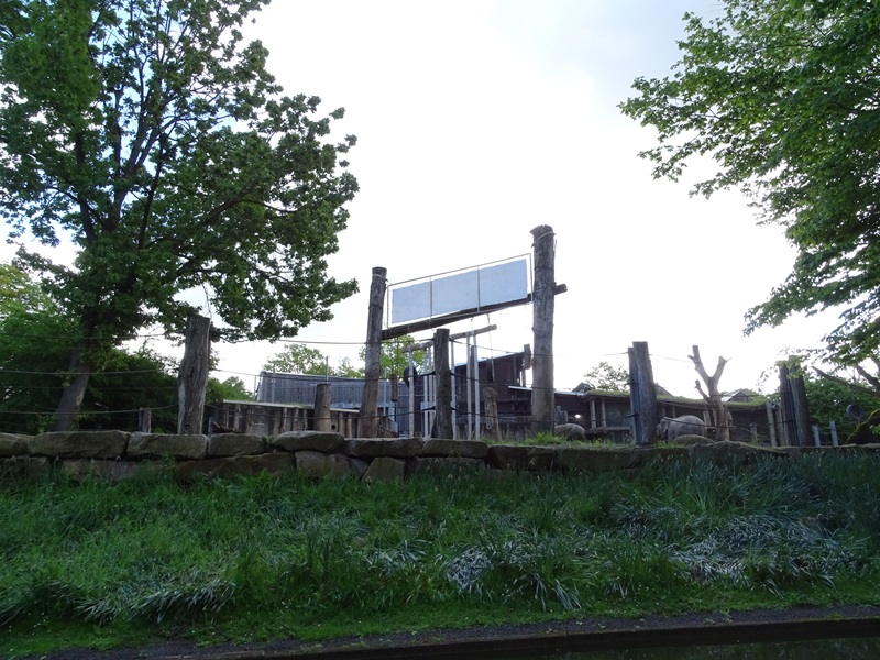 Elephant enclosure (from gondoletta ride)