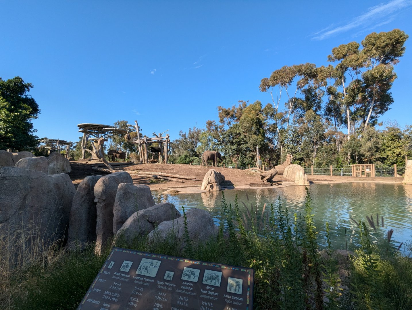 Elephant Enclosure in Elephant Odyssey