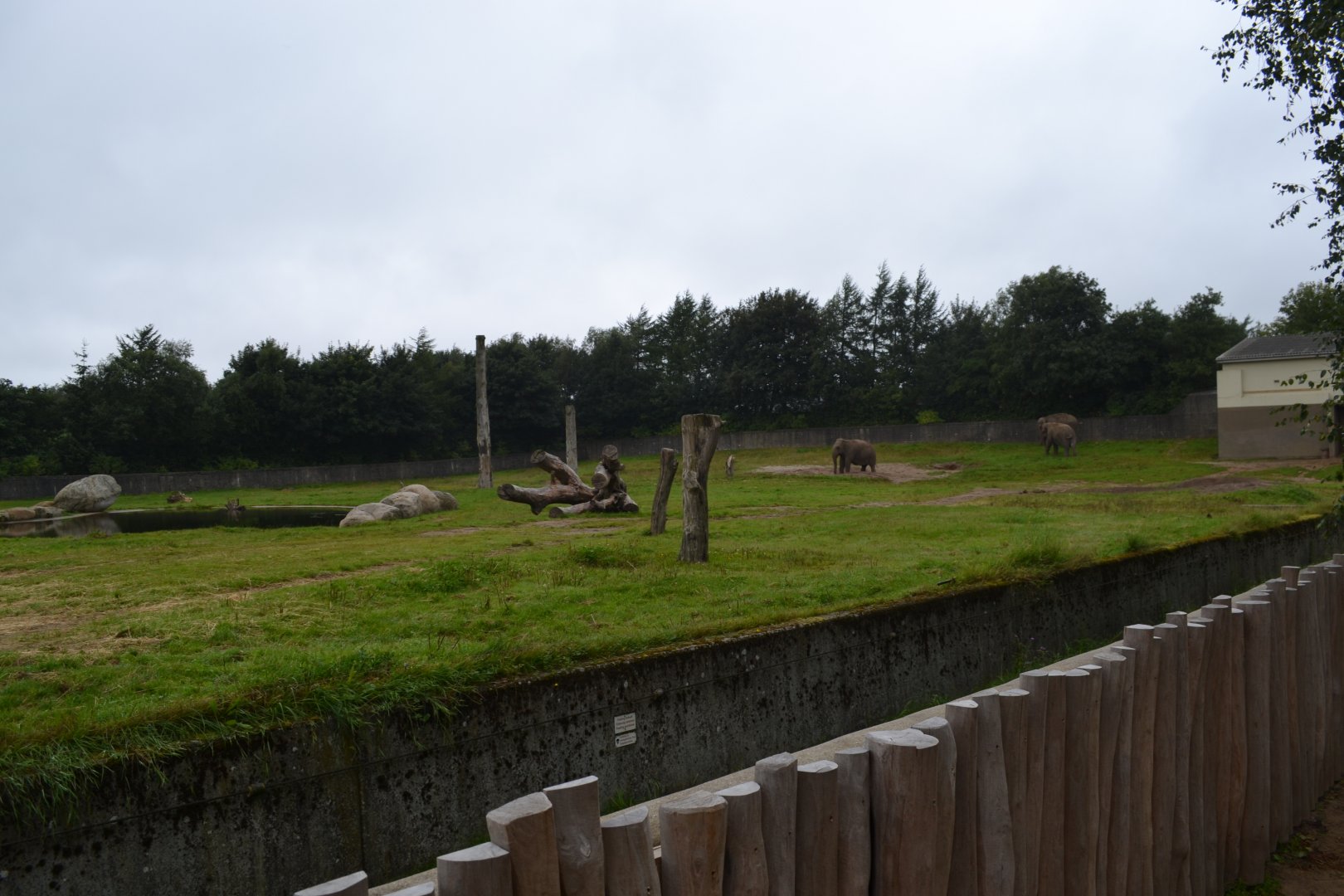 Elephant enclosure in Givskud Zoo
