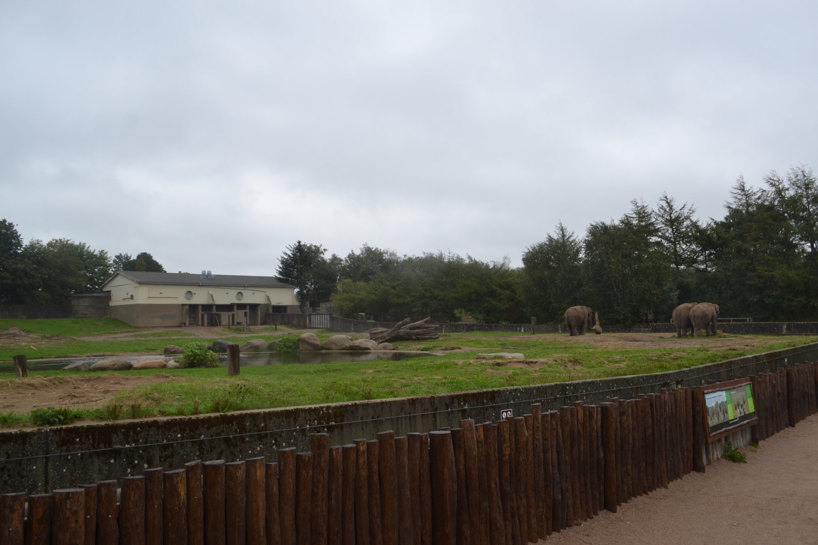 Elephant enclosure in Givskud Zoo