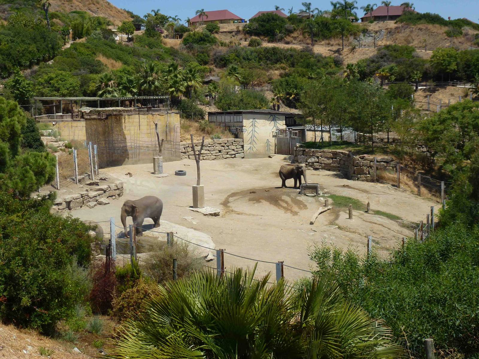 Elephant enclosure, July 2013.